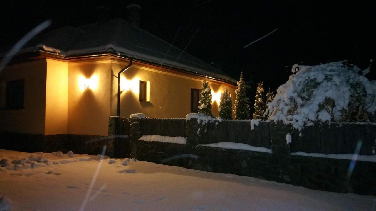 Văliug Casa Alex 빌라 외부 사진