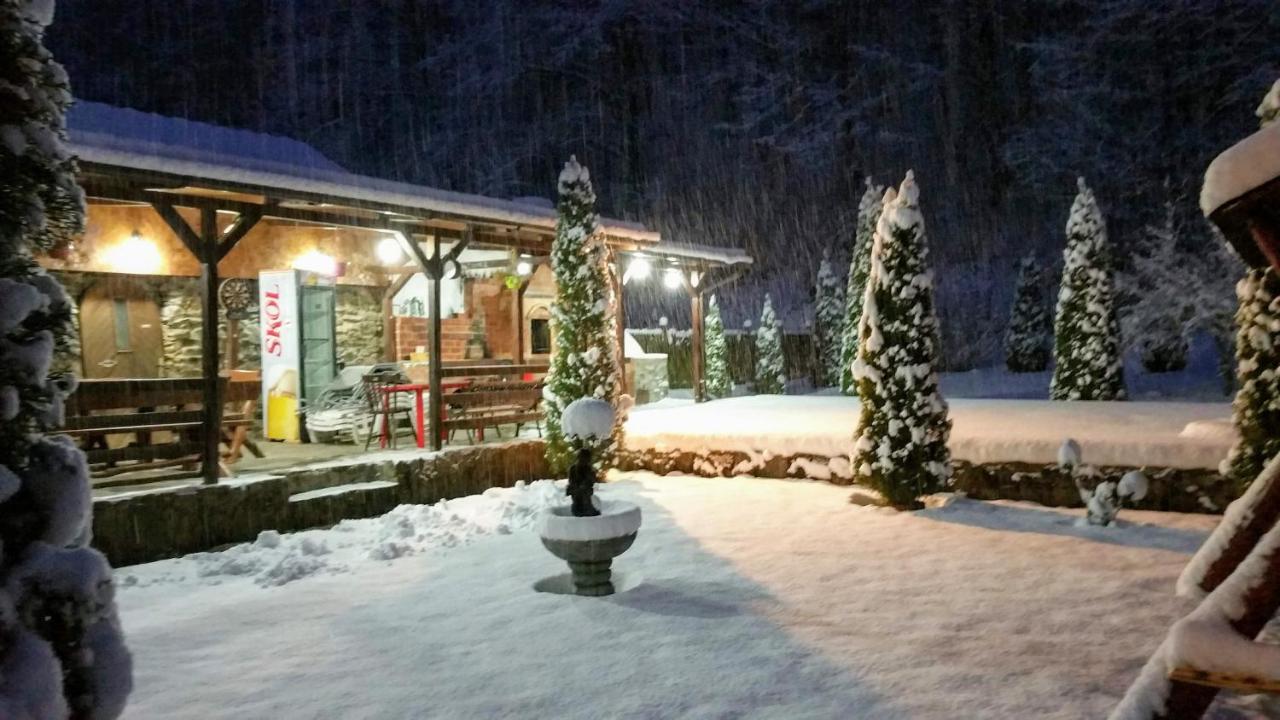 Văliug Casa Alex 빌라 외부 사진