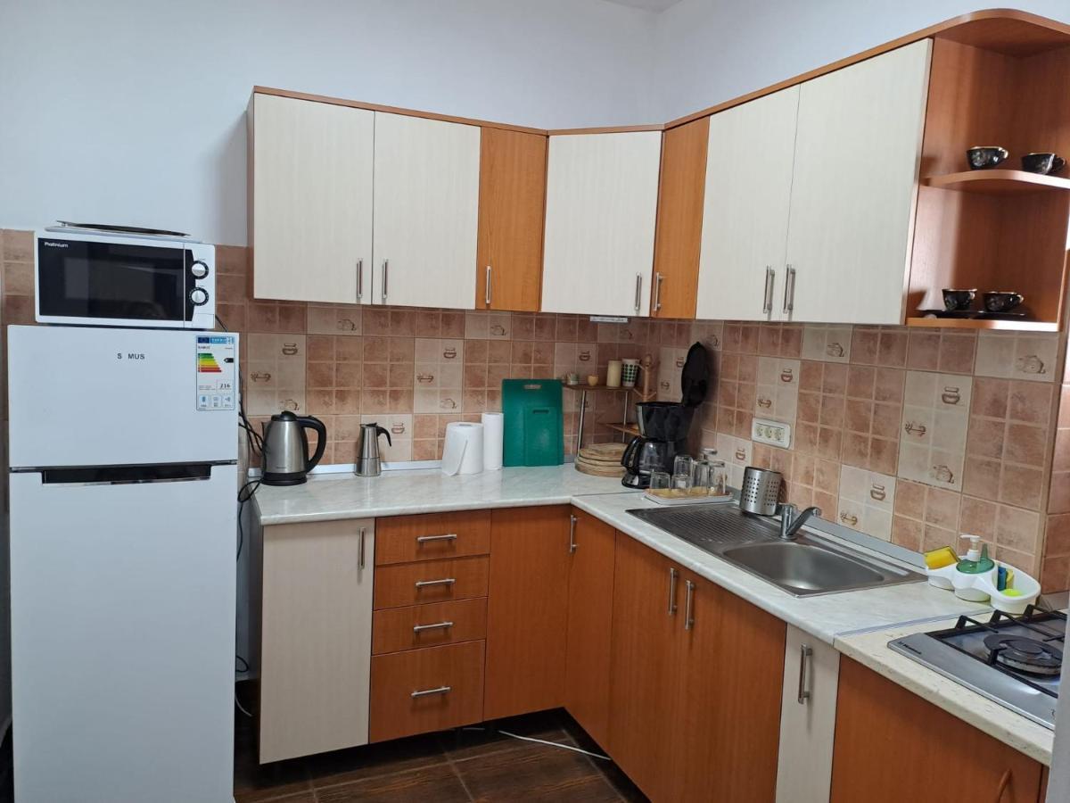 Văliug Casa Alex 빌라 외부 사진