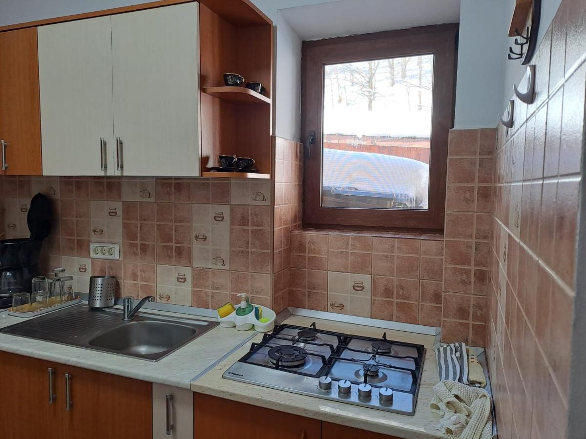 Văliug Casa Alex 빌라 외부 사진
