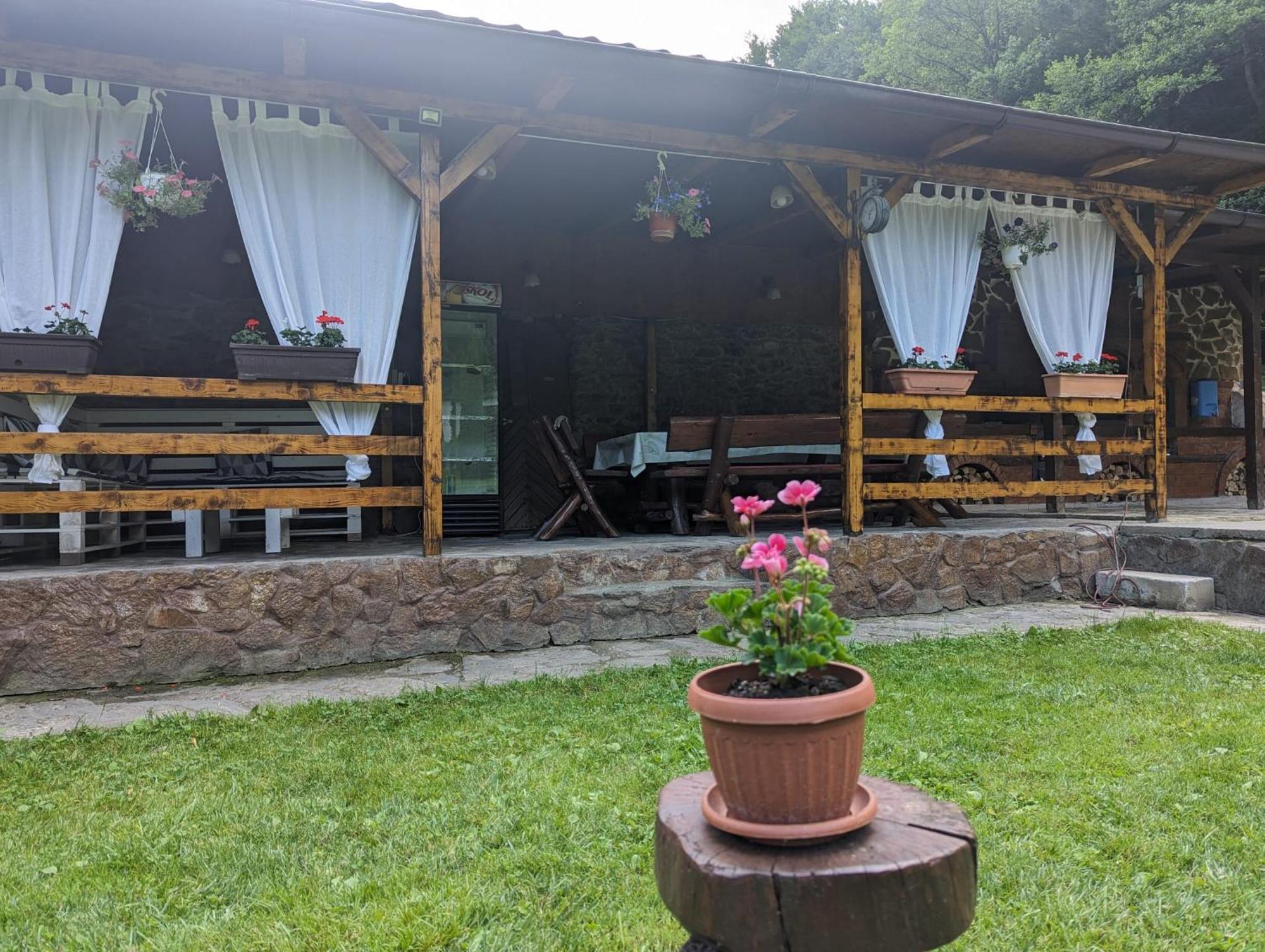 Văliug Casa Alex 빌라 외부 사진